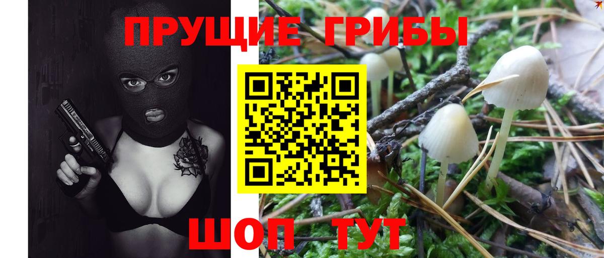 Галлюциногенные грибы GOLDEN TEACHER Гусиноозёрск